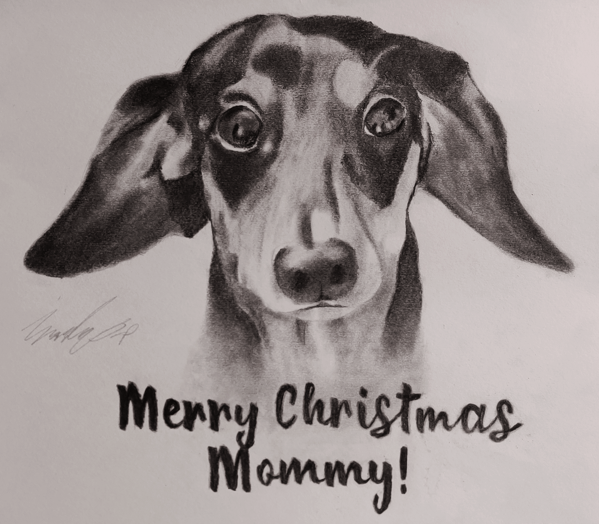 A pencil drawing of Khiron, my puppy, for my mom for Christmas 2019.