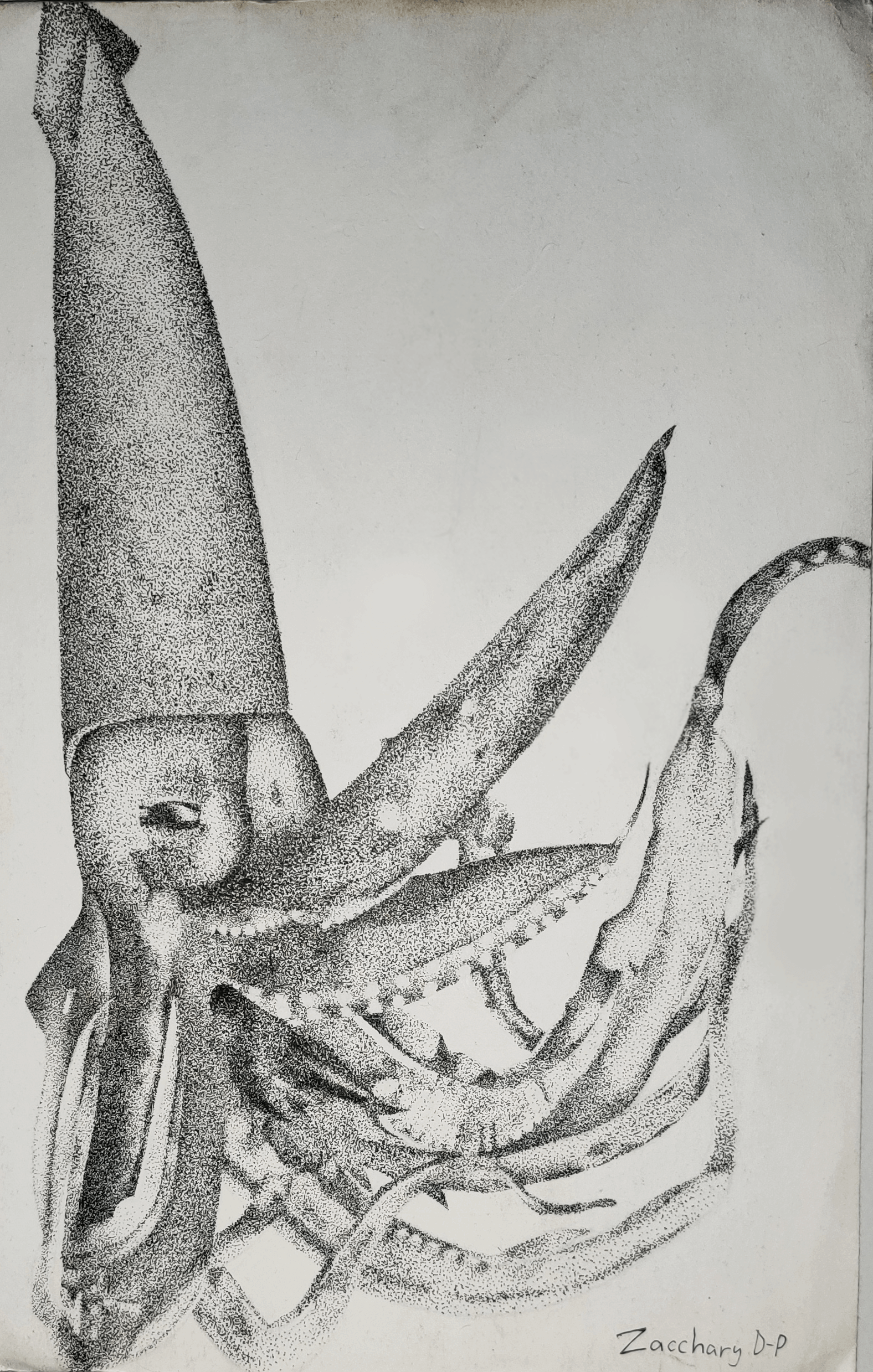 A Sharpie stippling piece of a giant squid.
